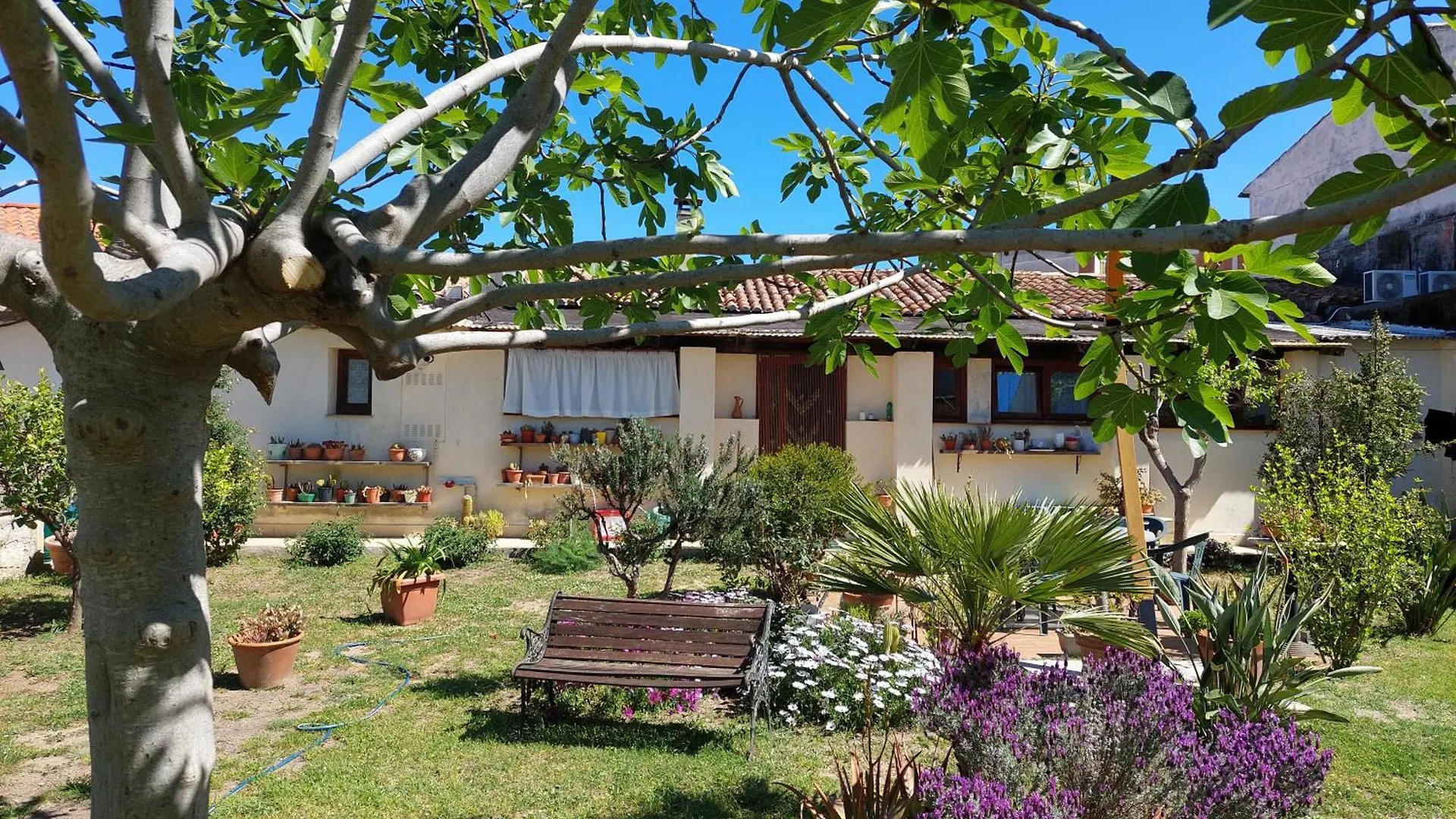 Garden Rooms Olbia Italia