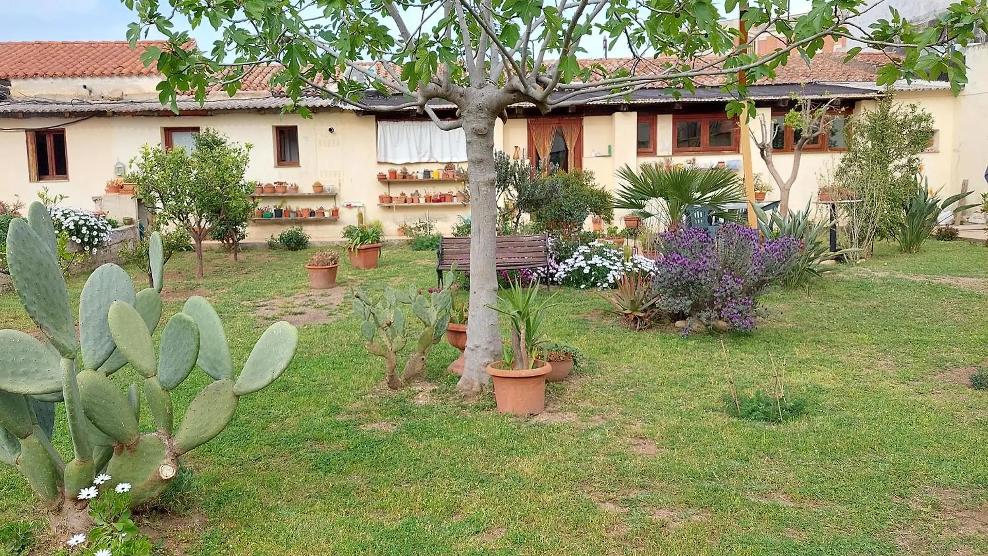 招待所 Garden Rooms 奧爾比亞